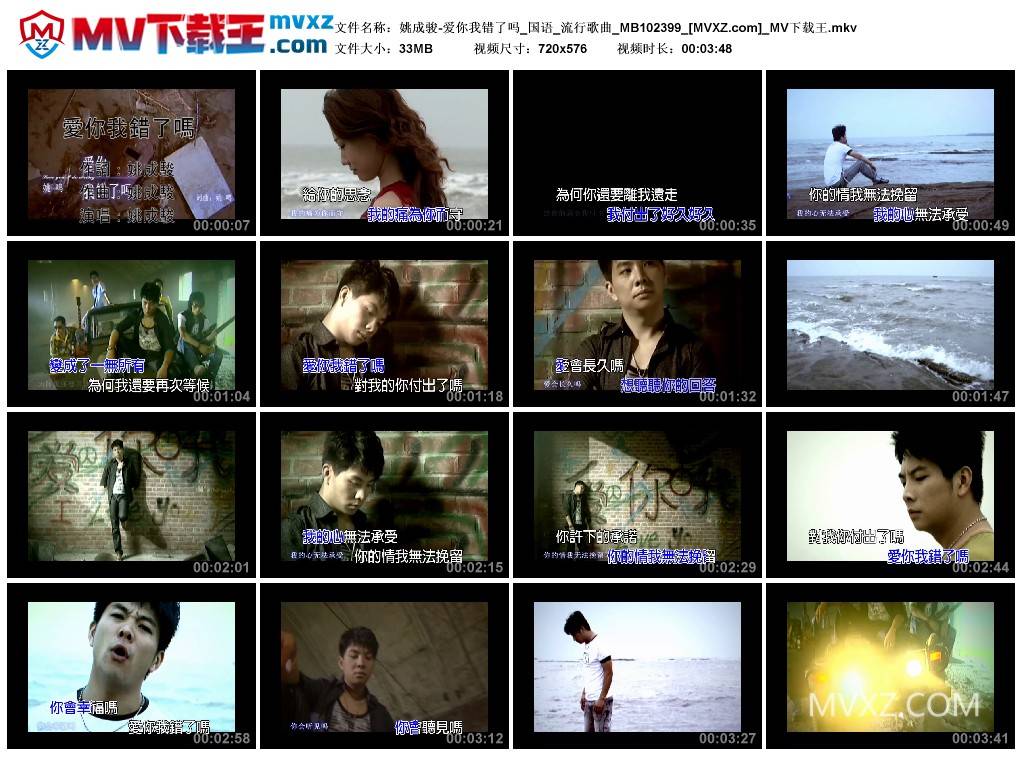姚成骏-爱你我错了吗_国语_流行歌曲_MB102399